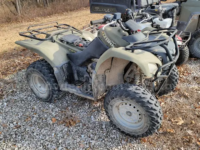 SUZUKI 250 Ozark QuadRunner