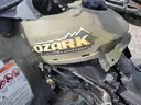 SUZUKI 250 Ozark QuadRunner