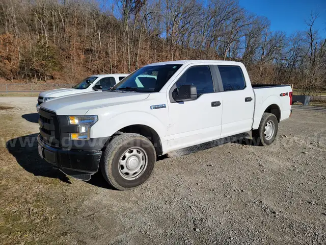 2015 Ford F-150 CREW CAB PICKUP 4-DR, 5.0L V8.