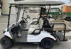 Lot of (2) Golf Carts