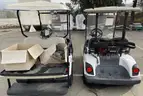 Lot of (2) Golf Carts