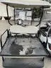 Lot of (2) Golf Carts