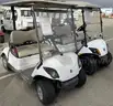 Lot of (2) Golf Carts