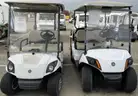 Lot of (2) Golf Carts