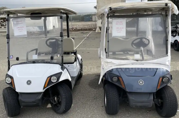 Lot of (2) Golf Carts