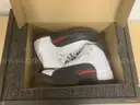 Variety of Sneakers Set #2