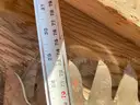 29&#x22; Saw Blade