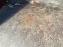 Brown/Blue Garbage Cans