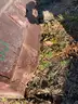 2 Brown Garbage Cans