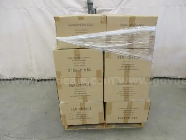 Pallet of Masks - B5
