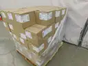 Pallet of Masks - B6