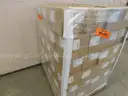 Pallet of Masks - B6