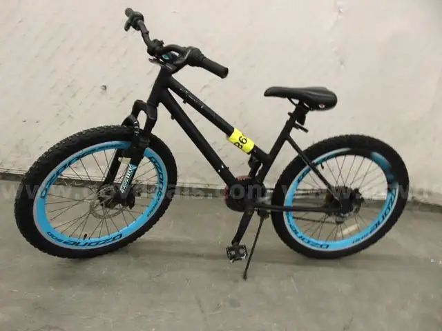 Bicycle - B6