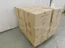 Pallet of Masks - B2