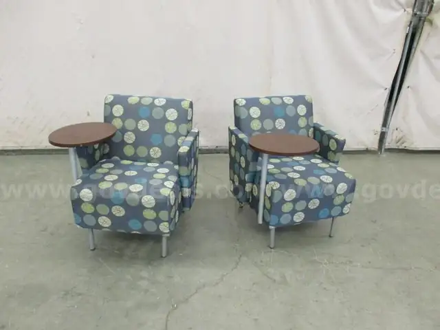 2 Lounge Chairs - C2