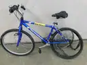Bicycle - C2