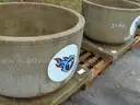 2 Concrete Planters - Surplus Lot