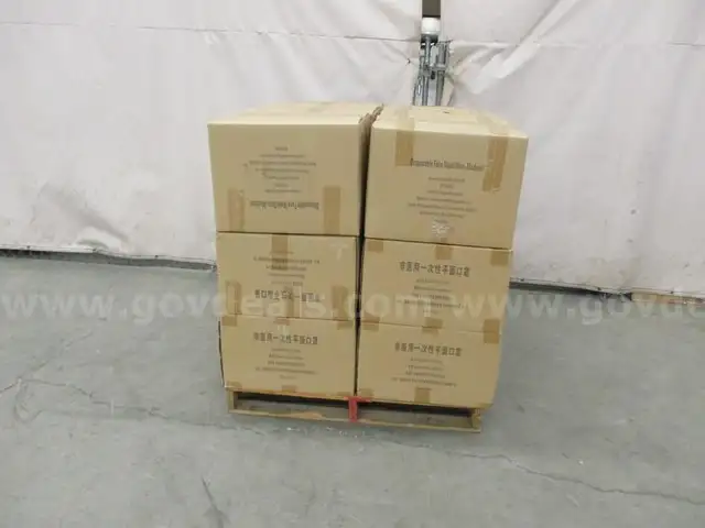 Pallet of Masks - B6