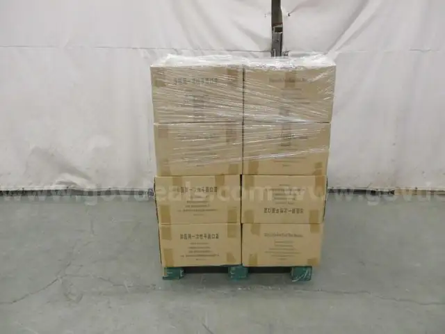 Pallet of Masks - B5