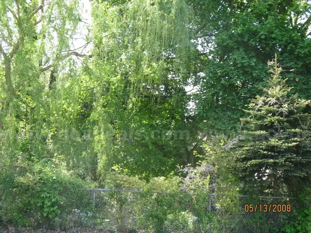 EAST 24TH ST  LOT  ERIE (18-050-015-0.216.00)