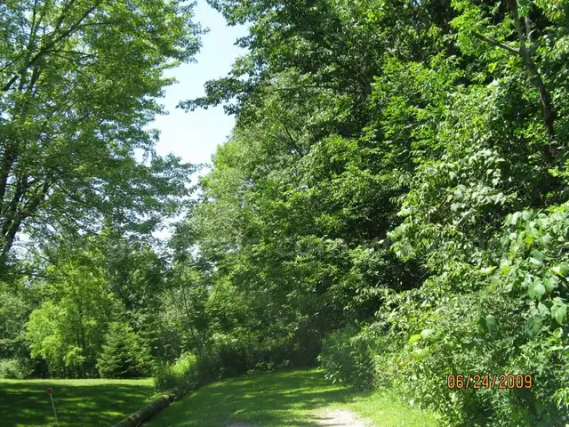 BOLTE DR. TRK 262  100 X 200  LOT - MCKEAN TOWNSHIP (31-004-036.0-004.00)