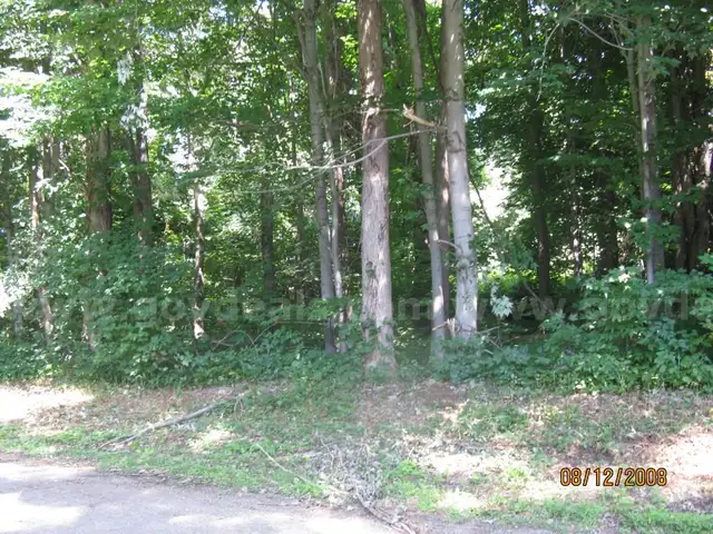 COLBY DR  299.04 X 111.58 IRR   LOT - SPRINGFIELD (39-015-044.0-031.07)