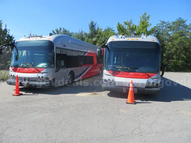 2 - 2008 New Flyer SCRAP buses. Model DE40LFA