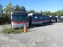 6 SCRAP New Flyer buses.