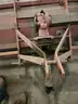 Befco Tiller