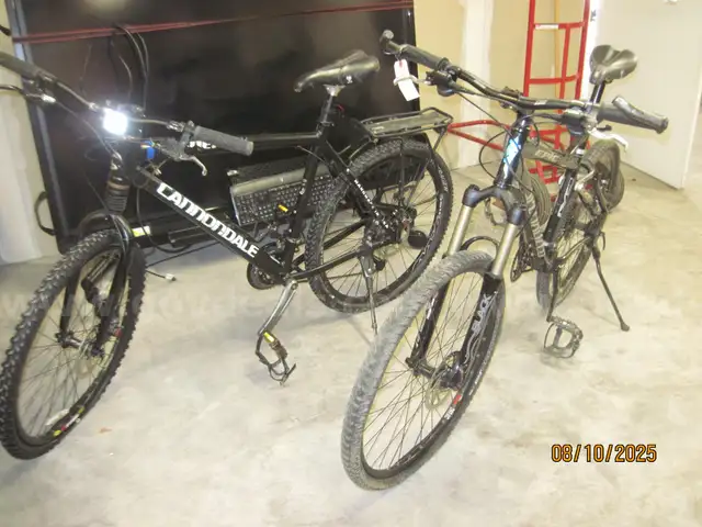 2-BIKES AND CARRIERS