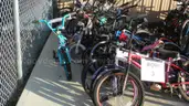 Lot of 16 Bikes