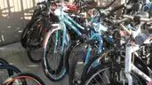 Lot of 15 Bikes