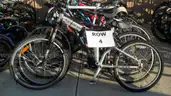 Lot of 15 Bikes