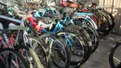 Lot of 15 Bikes