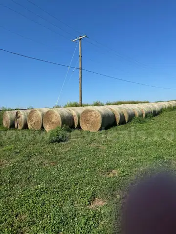20 - 4&#x27; x 5&#x27; Bales of Mixed Grass Hay