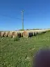 20 - 4&#x27; x 5&#x27; Bales of Mixed Grass Hay