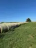 20 - 4&#x27; x 5&#x27; Bales of Mixed Grass Hay
