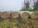 20 - 4' x 5' Bales of Mixed Grass Hay