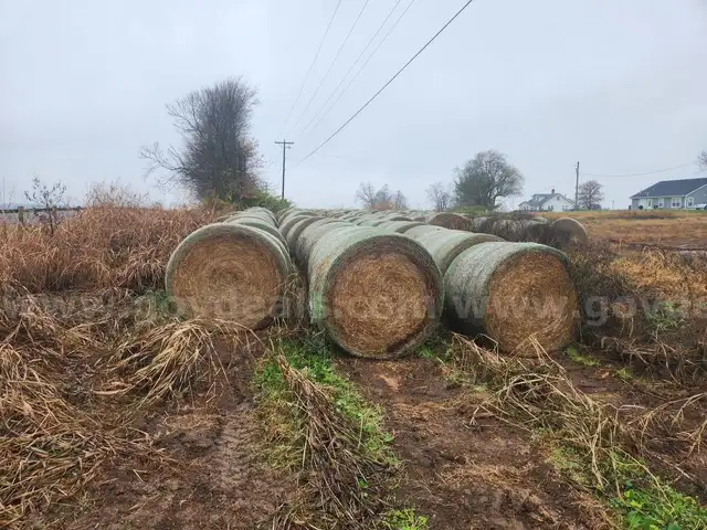 20 - 4' x 5' Bales of Mixed Grass Hay