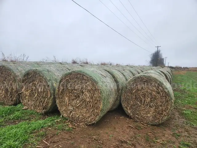 20 - 4' x 5' Bales of Corn Stover