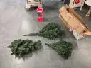 Christmas Tree and Stand