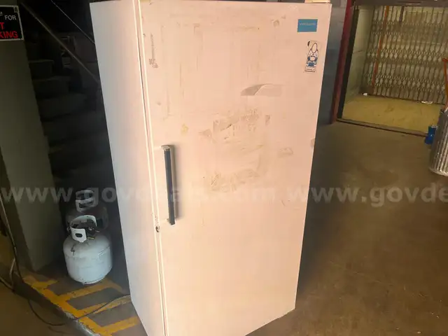 Stand Up Freezer Full Size (ID #11671) (25-2240-3) 495