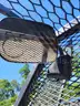 ALL TERRAIN JARRAFF telescopic TREE SAW