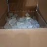 Lot of Graduated Cylinders and other lab equipment