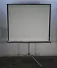 75&#x22; Da-Lite Projector Screen with Stand