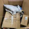 Lot of Various Consumer Items from Undelivered Mail