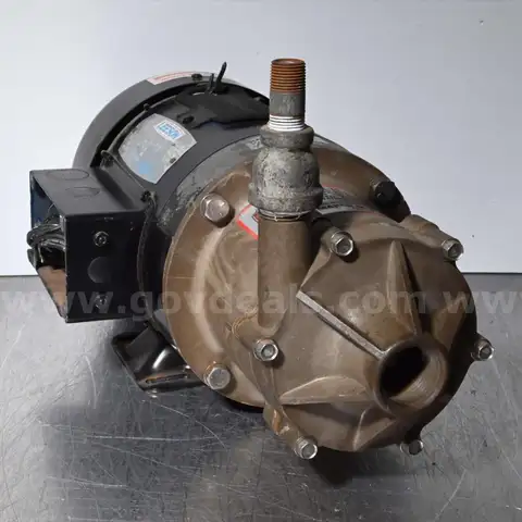 Leeson Single-Phase Pump Motor