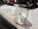 2009 Honda TRX420 w/ Front Plow
