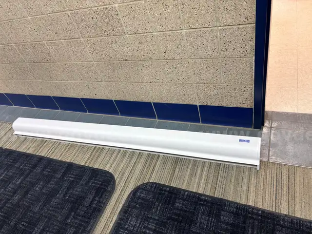 2008 Da-Lite Professional Electrol Projector Screen