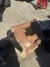 Bucket